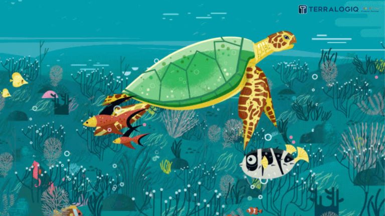 undermarine convervation